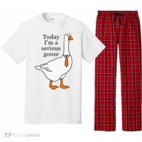 Today IM A Serious Goose Pajama Set thumb 0