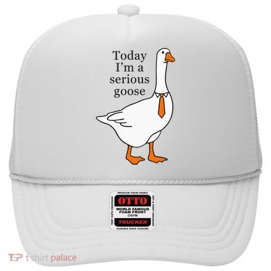 Today IM A Serious Goose Hat