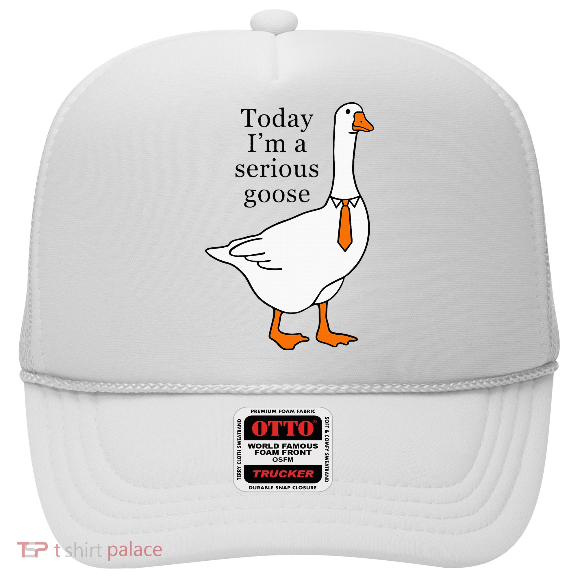 Today IM A Serious Goose Hat