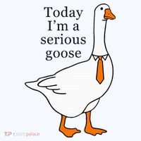 Today IM A Serious Goose Hat thumb 2