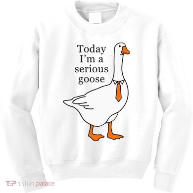 Today IM A Serious Goose Kids Sweatshirt