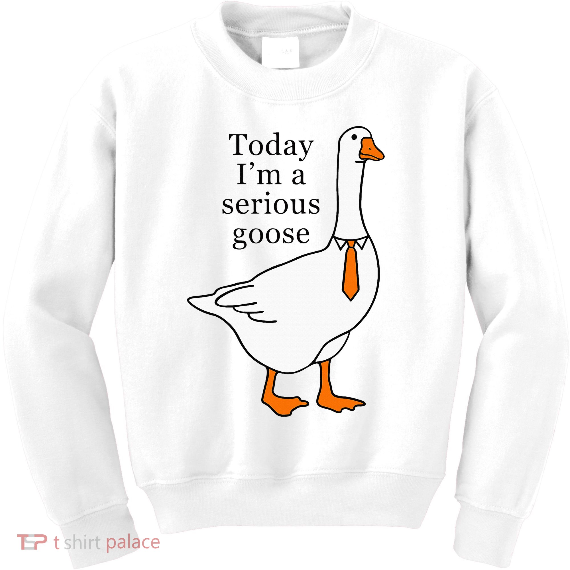 Today IM A Serious Goose Kids Sweatshirt