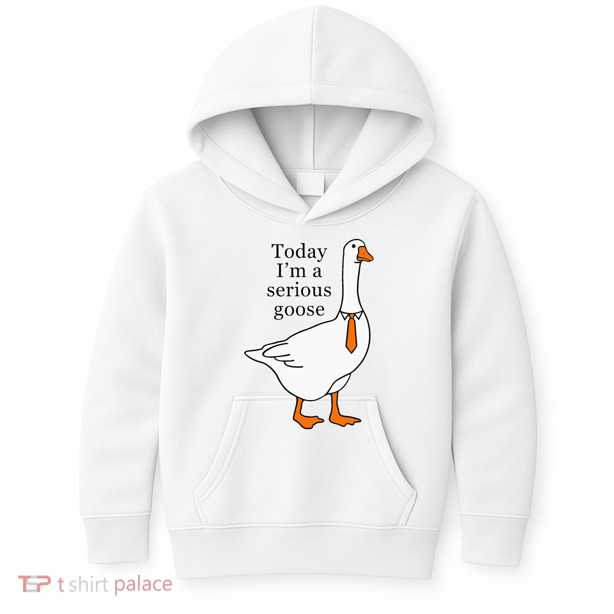 Today IM A Serious Goose Kids Hoodie