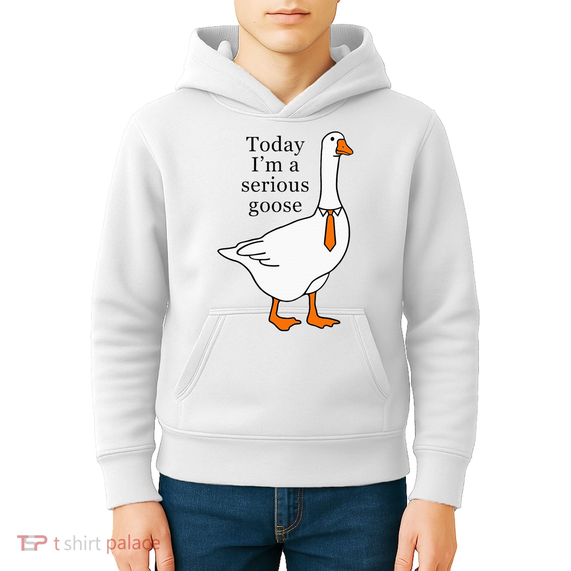 Today IM A Serious Goose Kids Hoodie