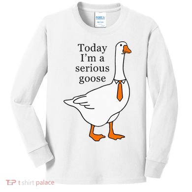 Today IM A Serious Goose Kids Long Sleeve Shirt