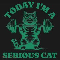 Today IM A Serious Cat Lifting Weights Gym Fitness Women's Hoodie thumb 2