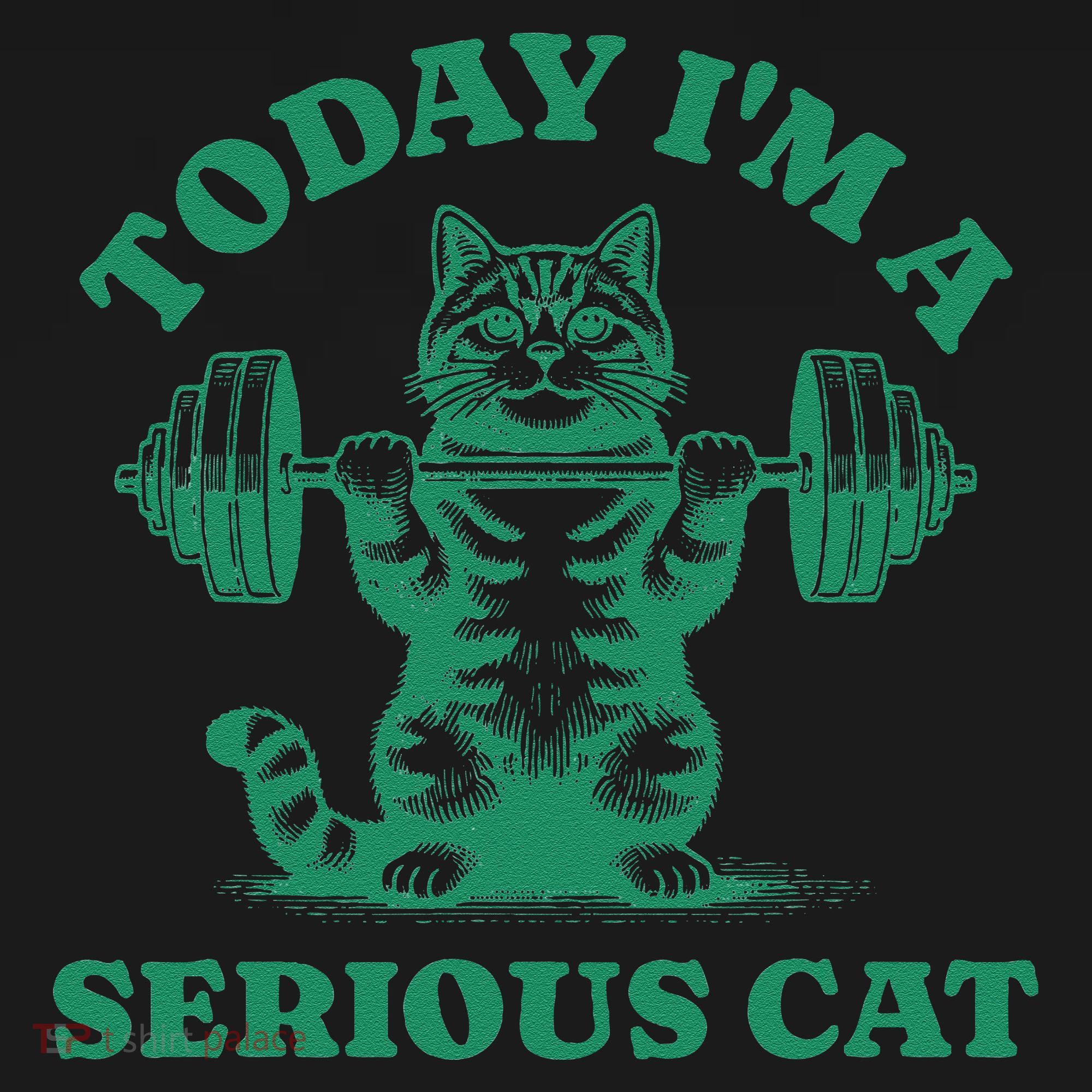 Today IM A Serious Cat Lifting Weights Gym Fitness Women's Hoodie