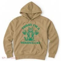 Today IM A Serious Cat Lifting Weights Gym Fitness Hoodie thumb 0