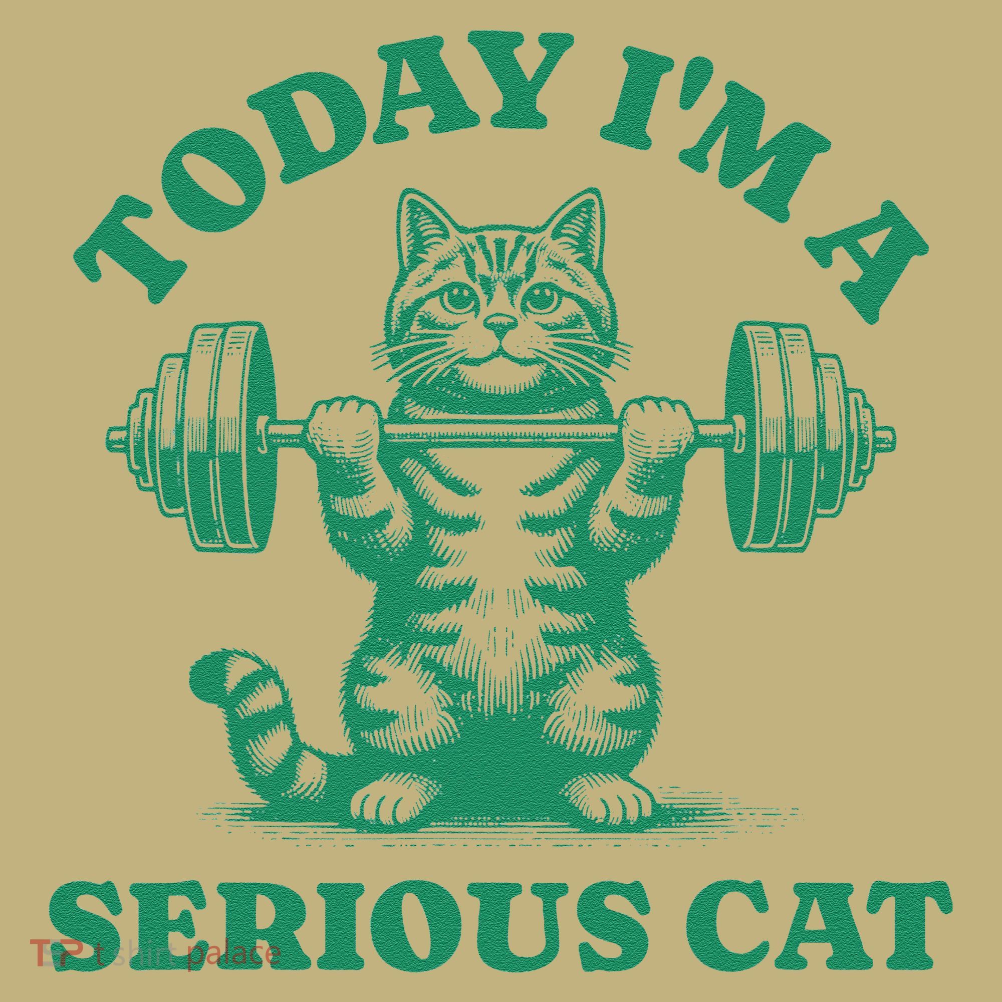 Today IM A Serious Cat Lifting Weights Gym Fitness Sweatshirt