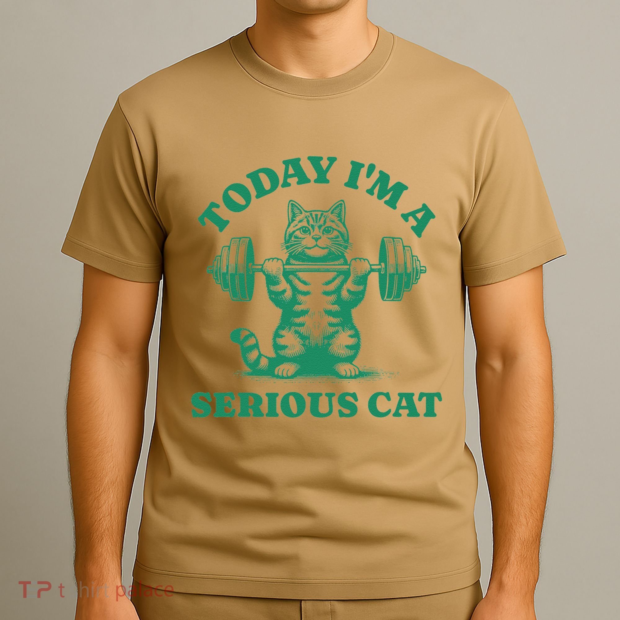 Today IM A Serious Cat Lifting Weights Gym Fitness T-Shirt