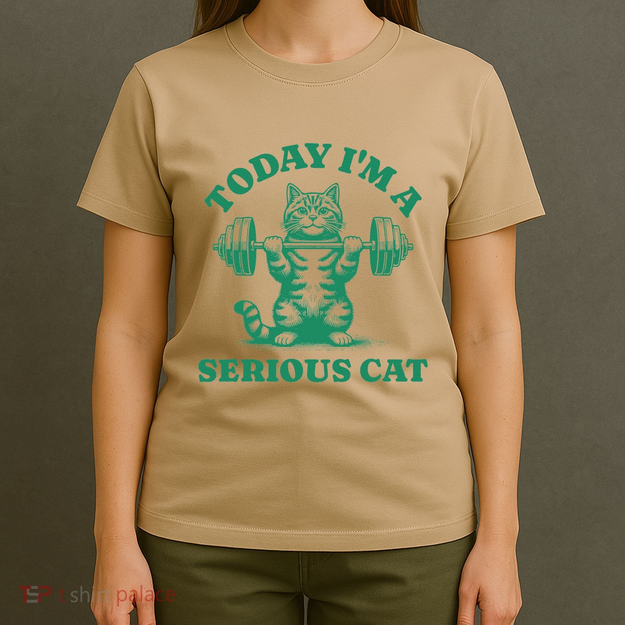 Today IM A Serious Cat Lifting Weights Gym Fitness T-Shirt