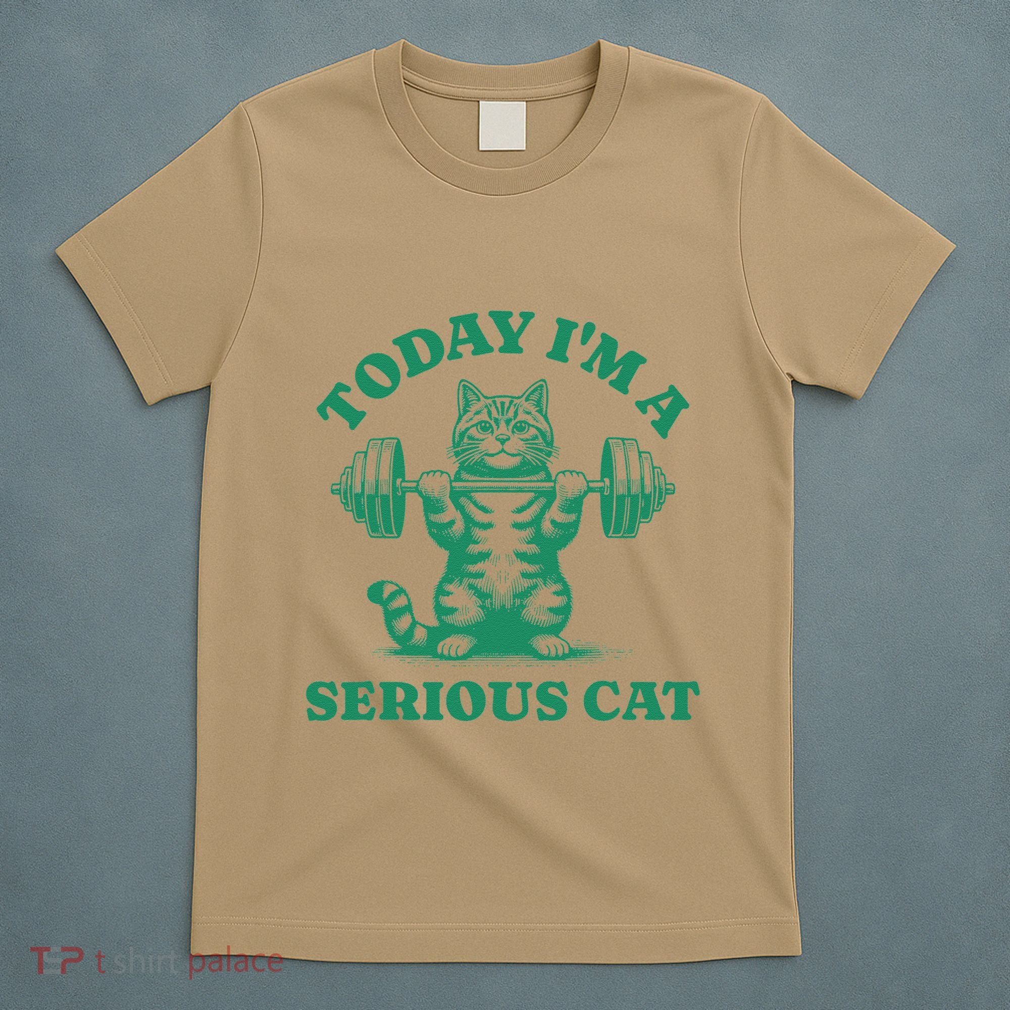 Today IM A Serious Cat Lifting Weights Gym Fitness T-Shirt