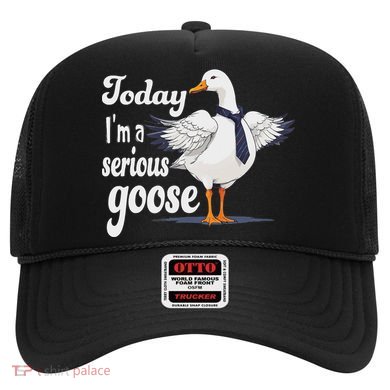 Today I'm A Serious Goose Silly Goose Cute Funny. Hat