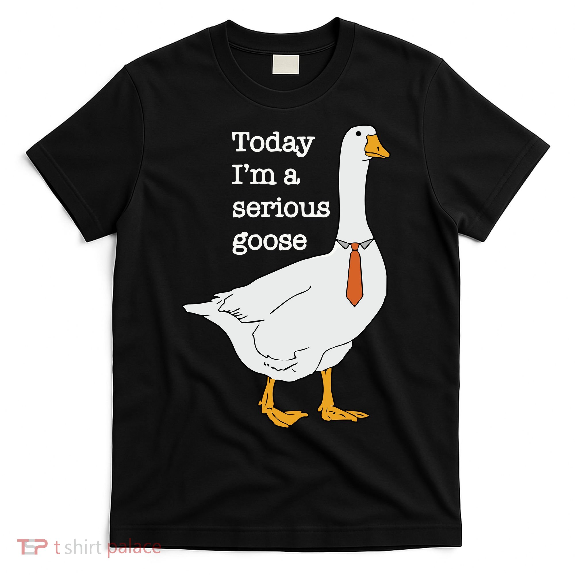 Today Im A Serious Goose Silly Goose T-Shirt