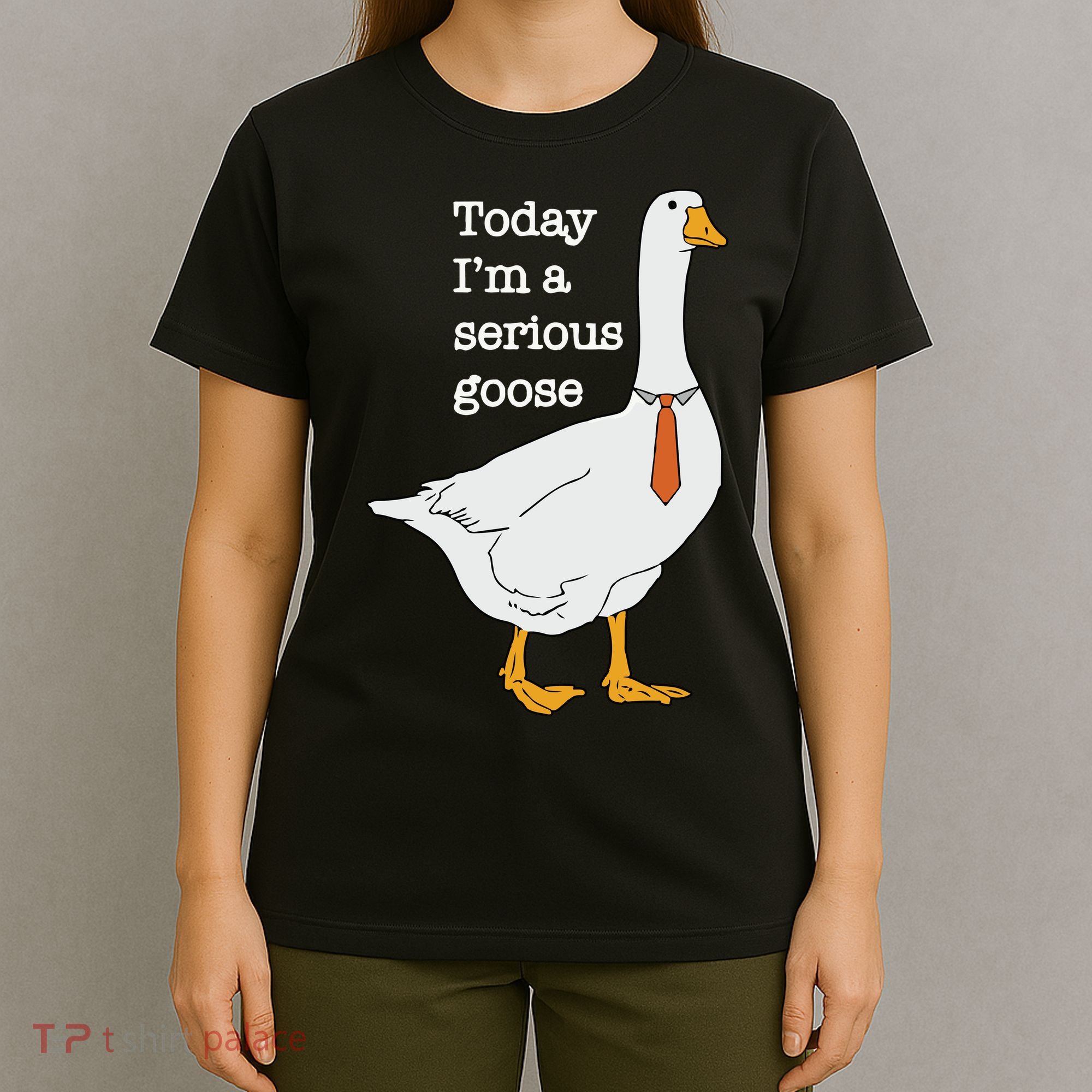 Today Im A Serious Goose Silly Goose T-Shirt