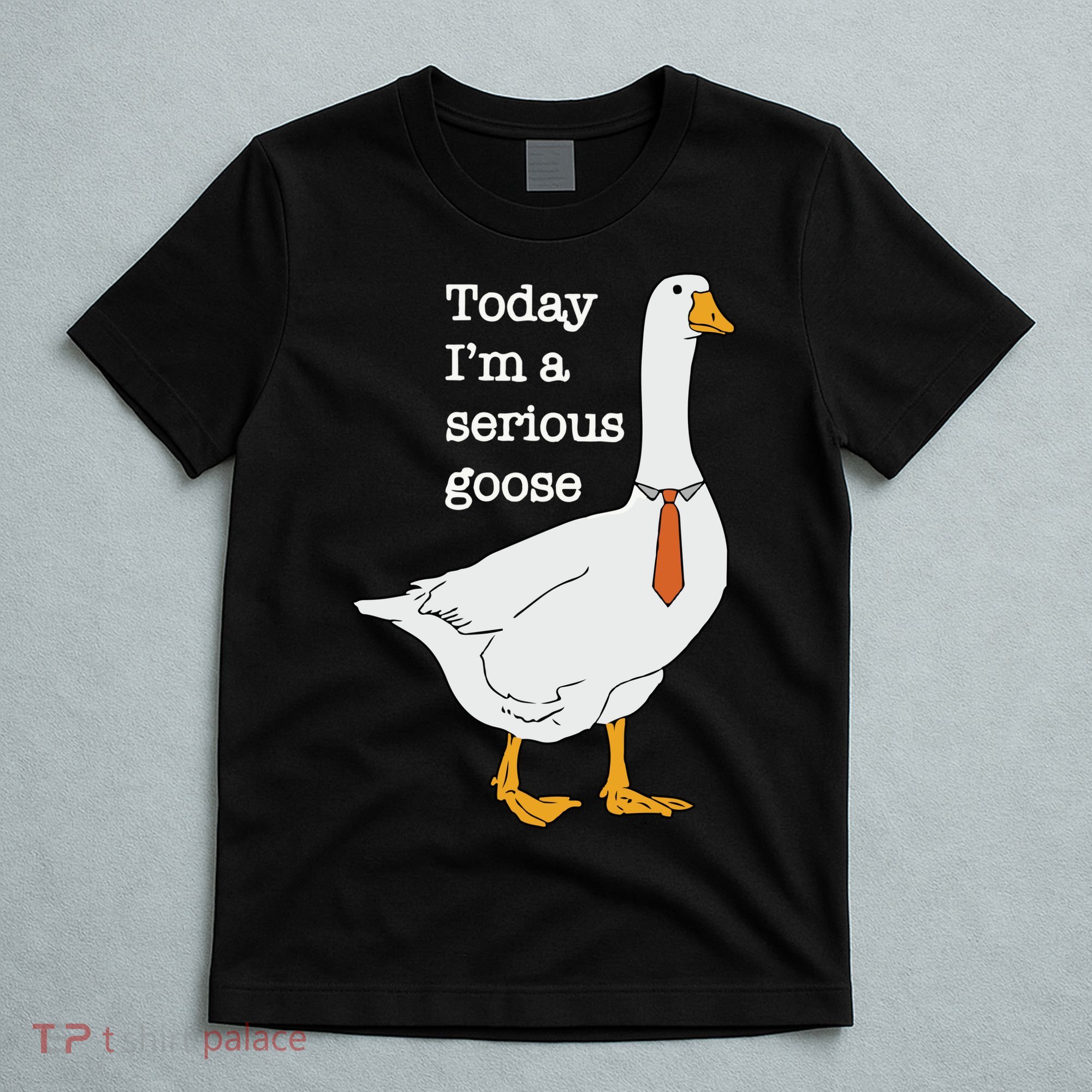 Today Im A Serious Goose Silly Goose T-Shirt