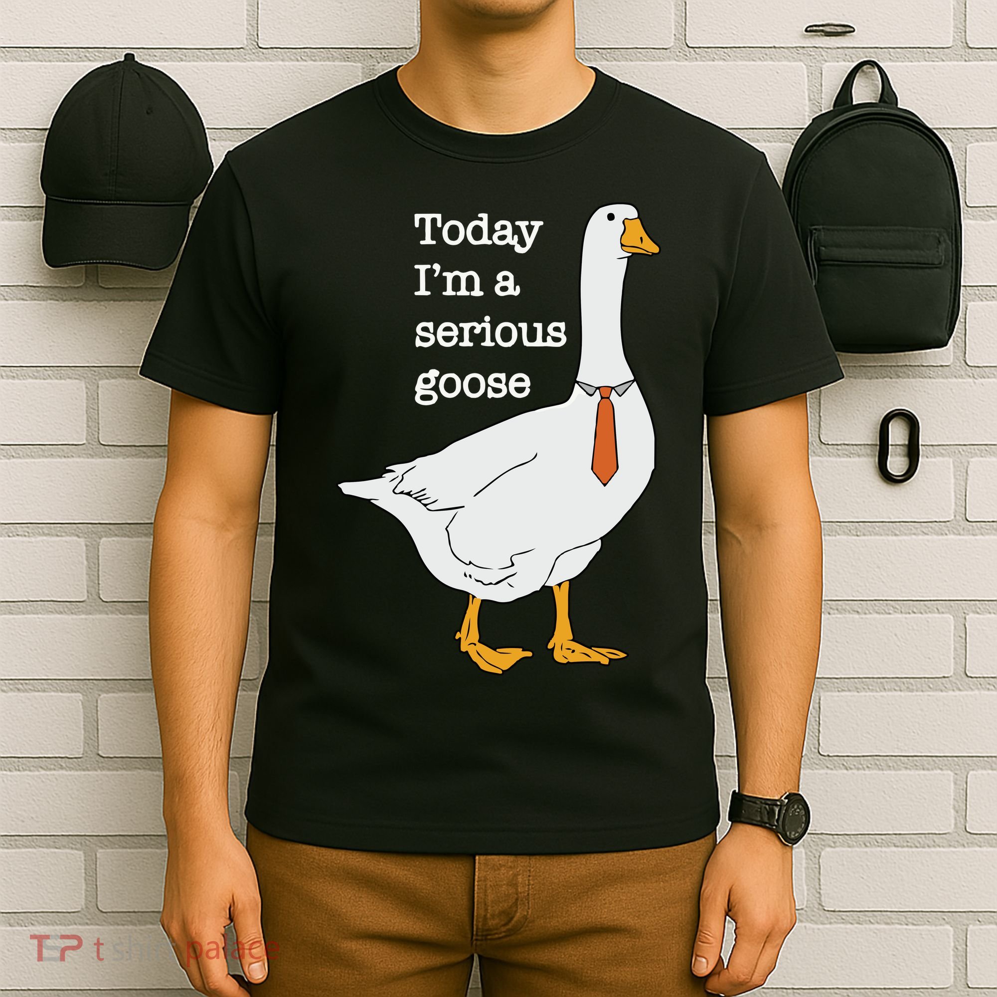 Today Im A Serious Goose Silly Goose T-Shirt