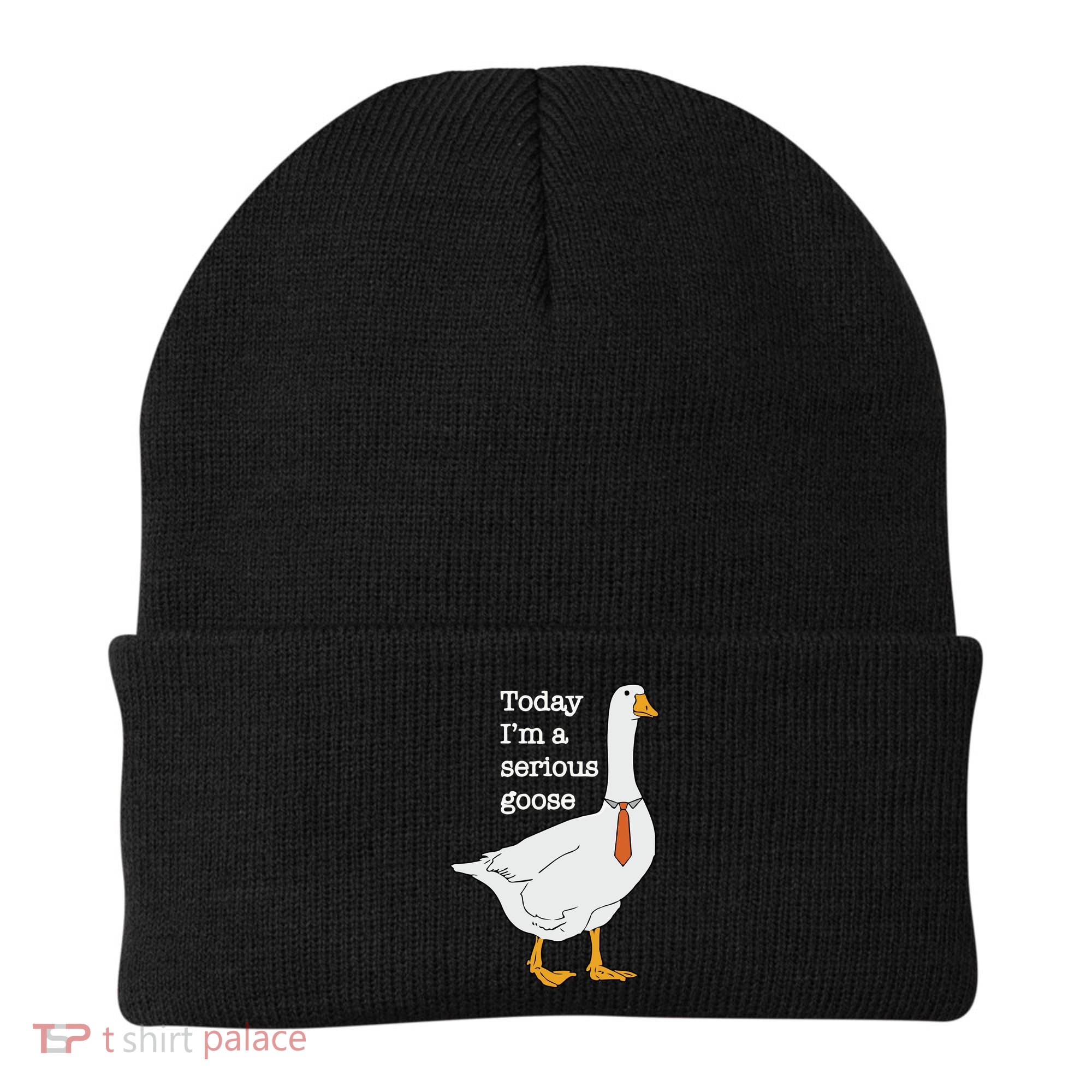 Today Im A Serious Goose Silly Goose Beanie