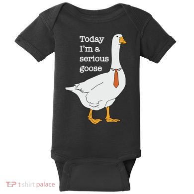 Today Im A Serious Goose Silly Goose Baby Bodysuit