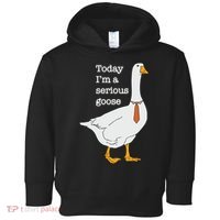 Today Im A Serious Goose Silly Goose Toddler Hoodie thumb 0