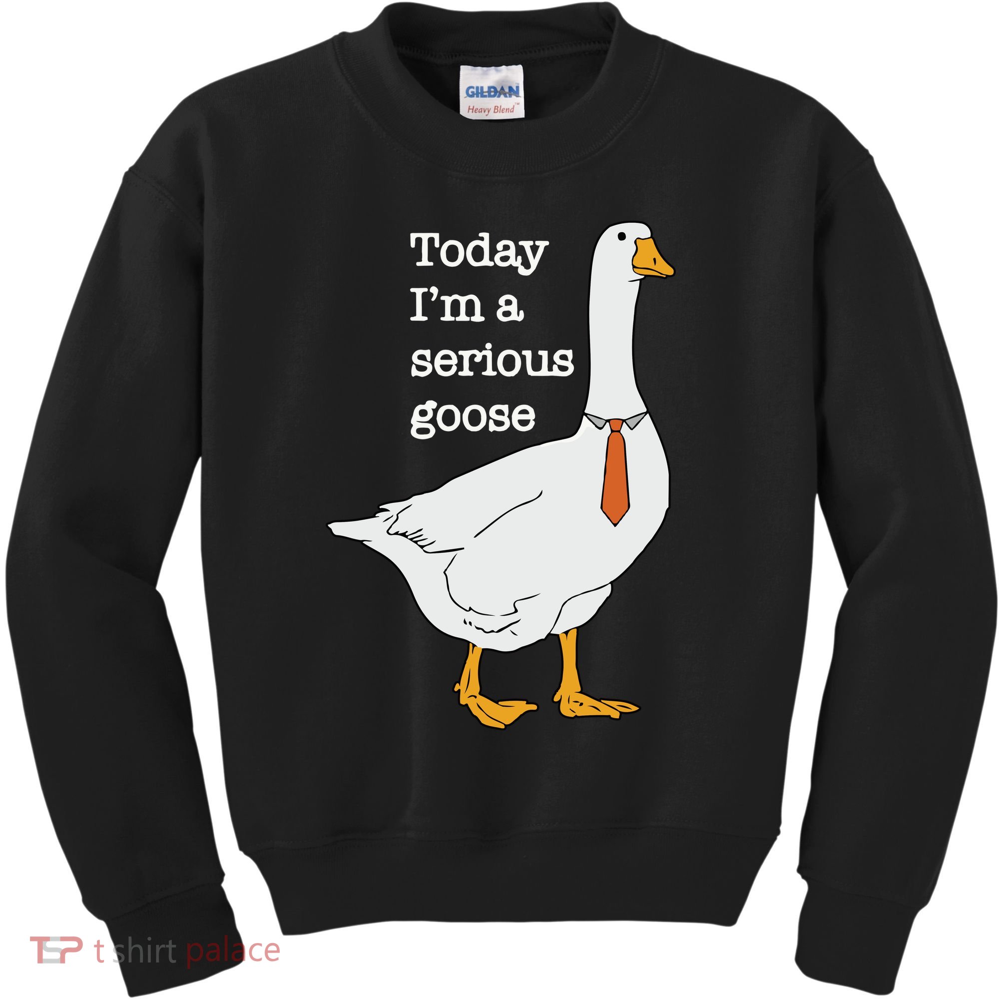Today Im A Serious Goose Silly Goose Kids Sweatshirt