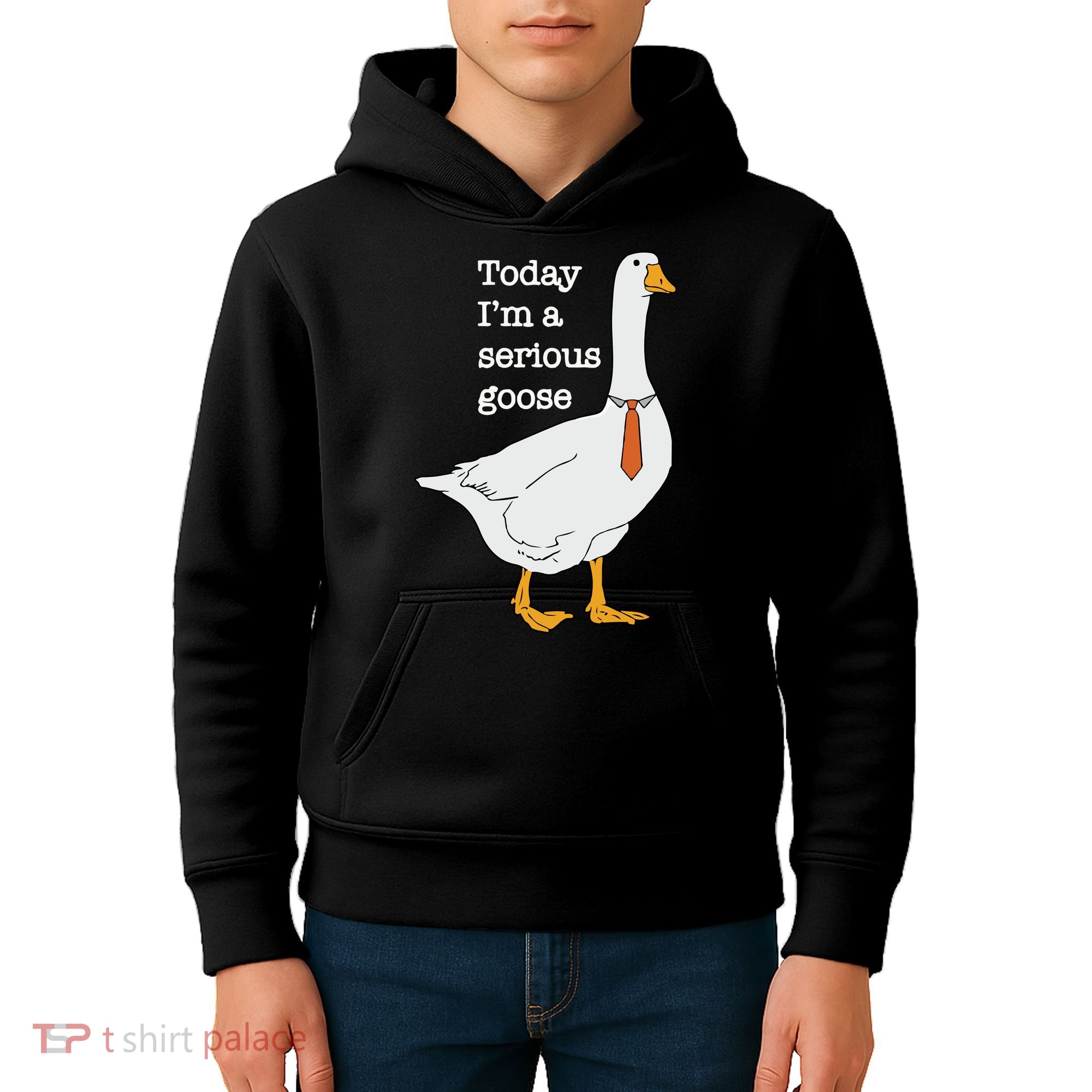 Today Im A Serious Goose Silly Goose Kids Hoodie