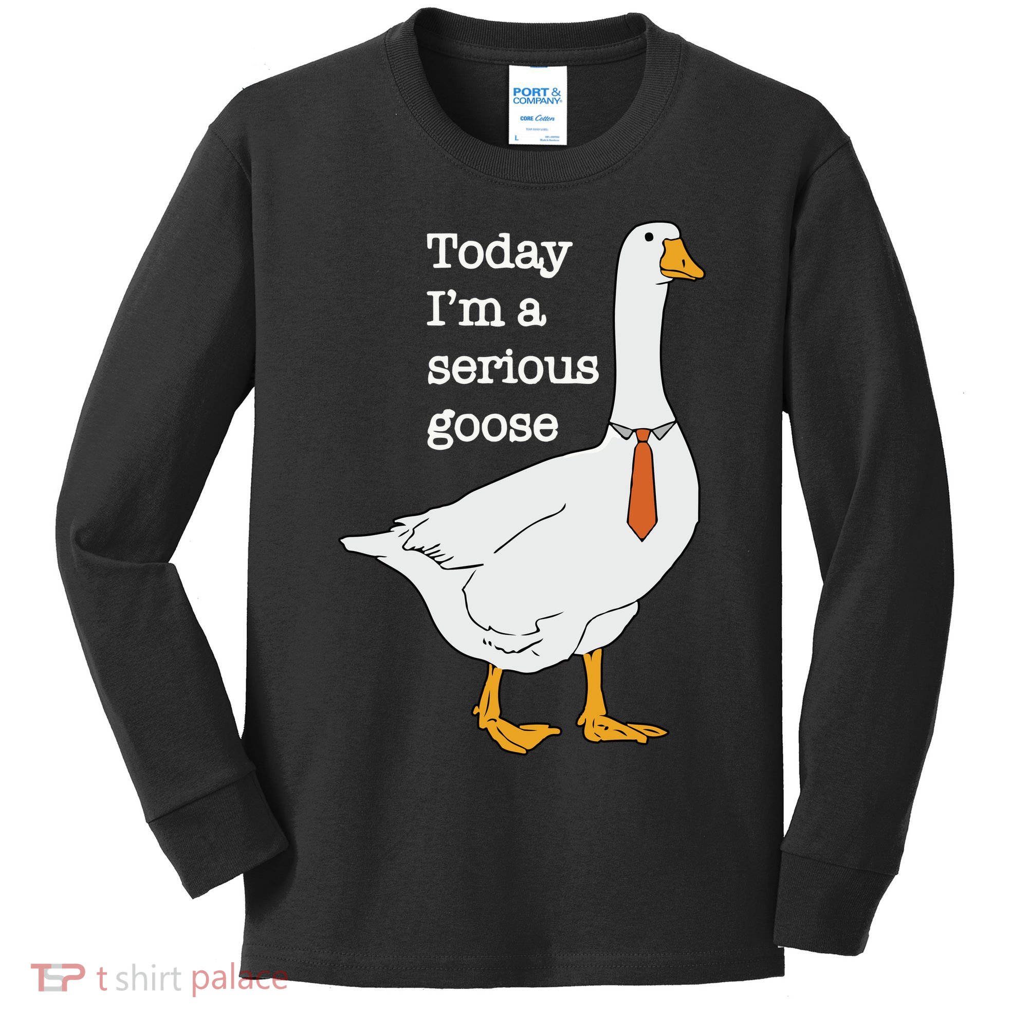 Today Im A Serious Goose Silly Goose Kids Long Sleeve Shirt