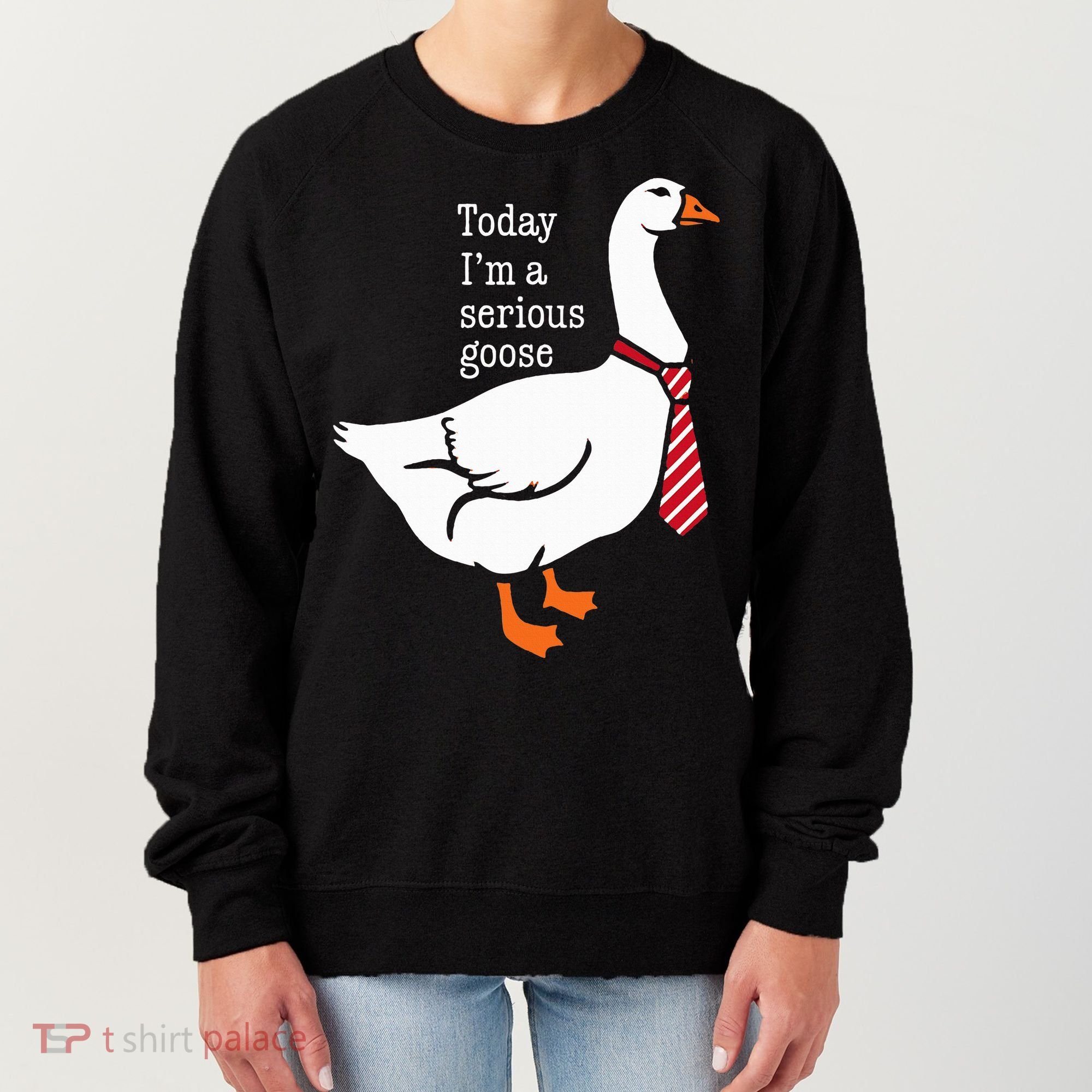 Today IM A Serious Goose Funny Cute Goose Women's Sweatshirt