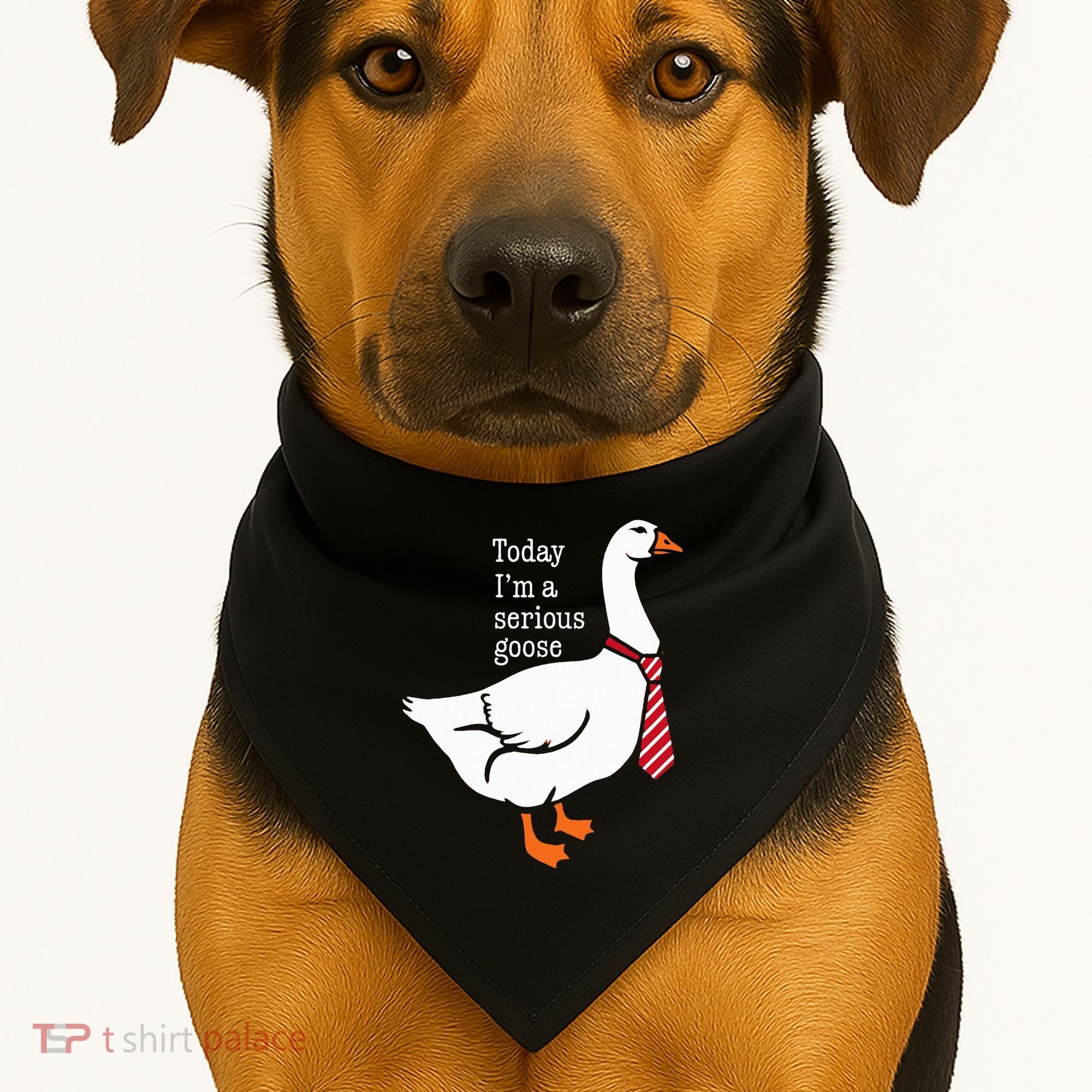 Today IM A Serious Goose Funny Cute Goose USA-Made Doggie Bandana