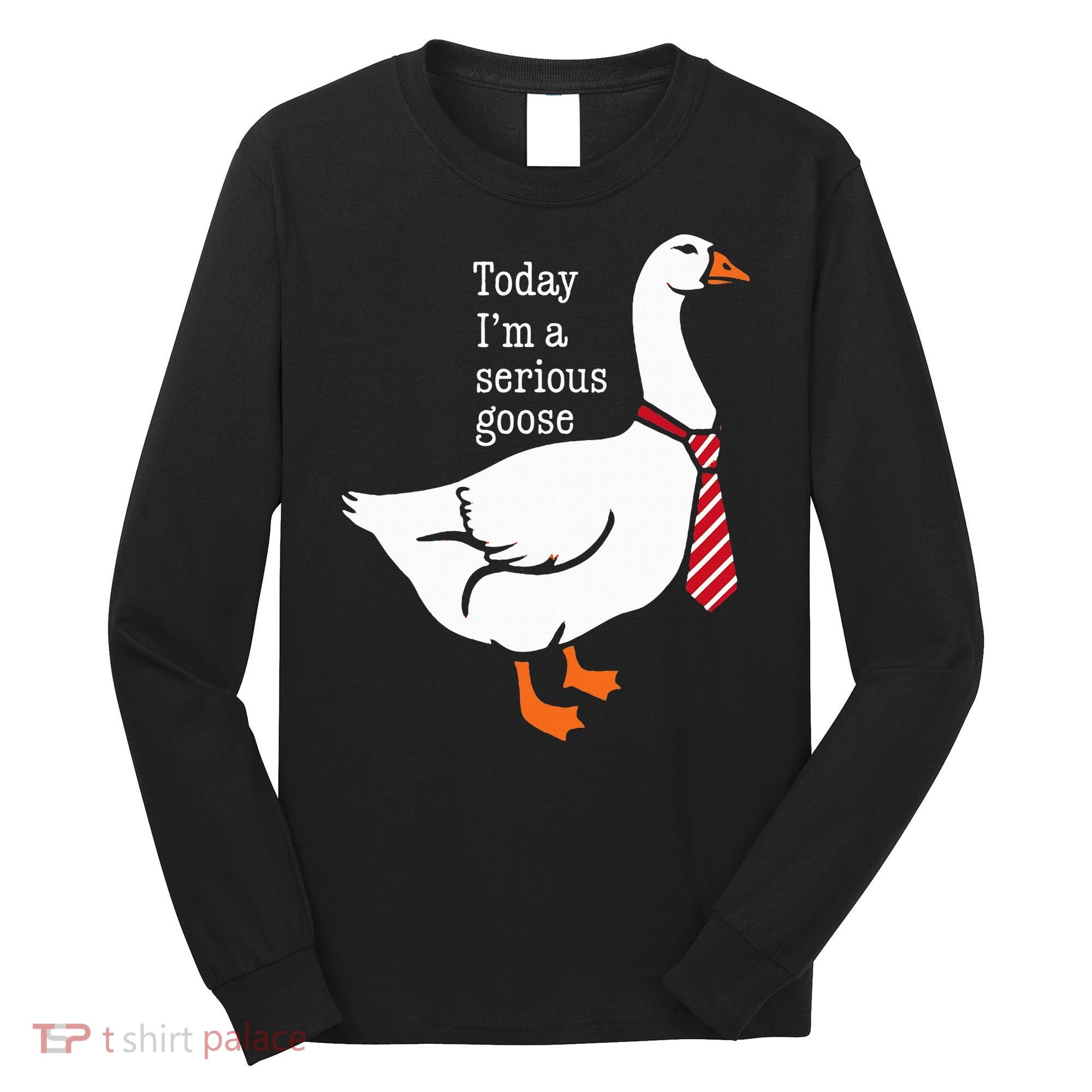 Today IM A Serious Goose Funny Cute Goose Long Sleeve Shirt