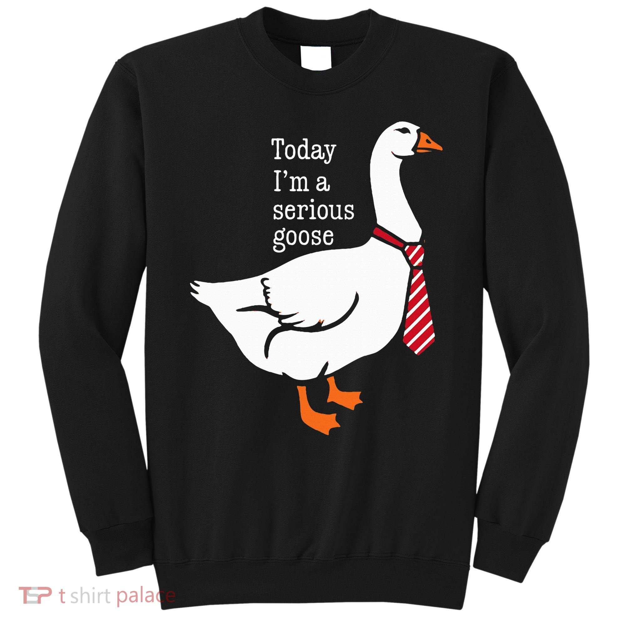 Today IM A Serious Goose Funny Cute Goose Sweatshirt