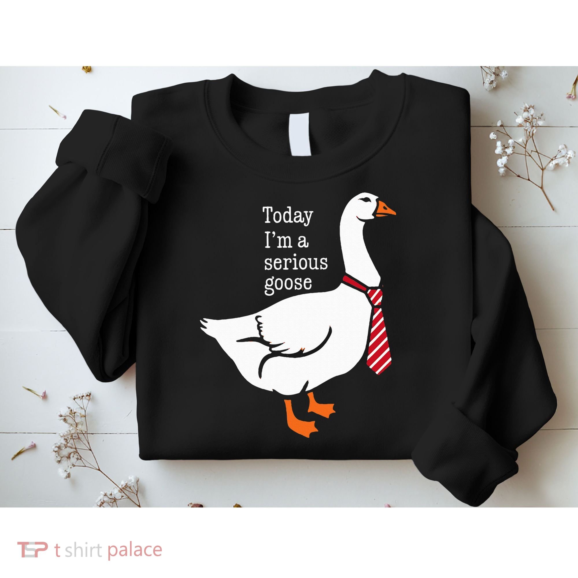Today IM A Serious Goose Funny Cute Goose Sweatshirt