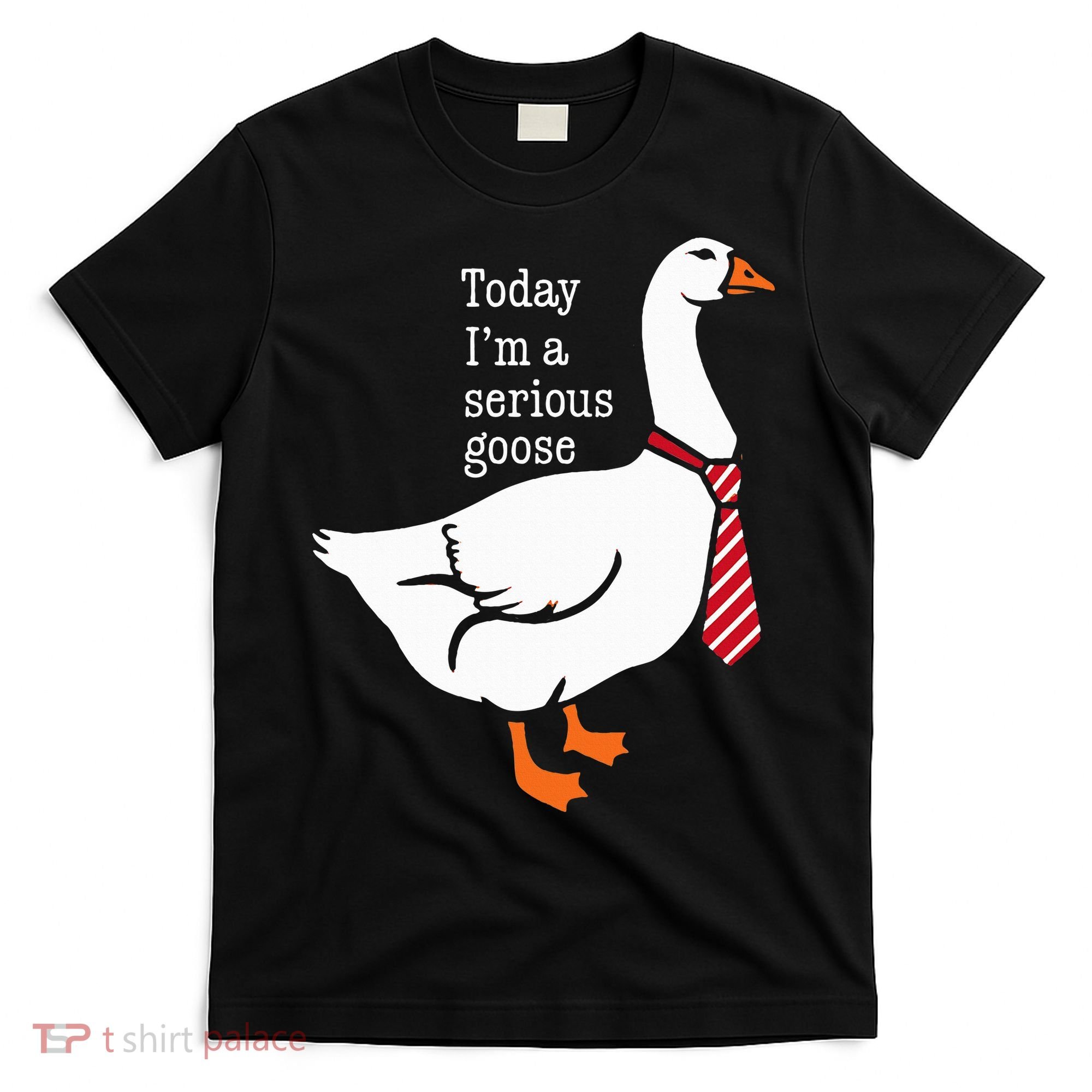 Today IM A Serious Goose Funny Cute Goose T-Shirt