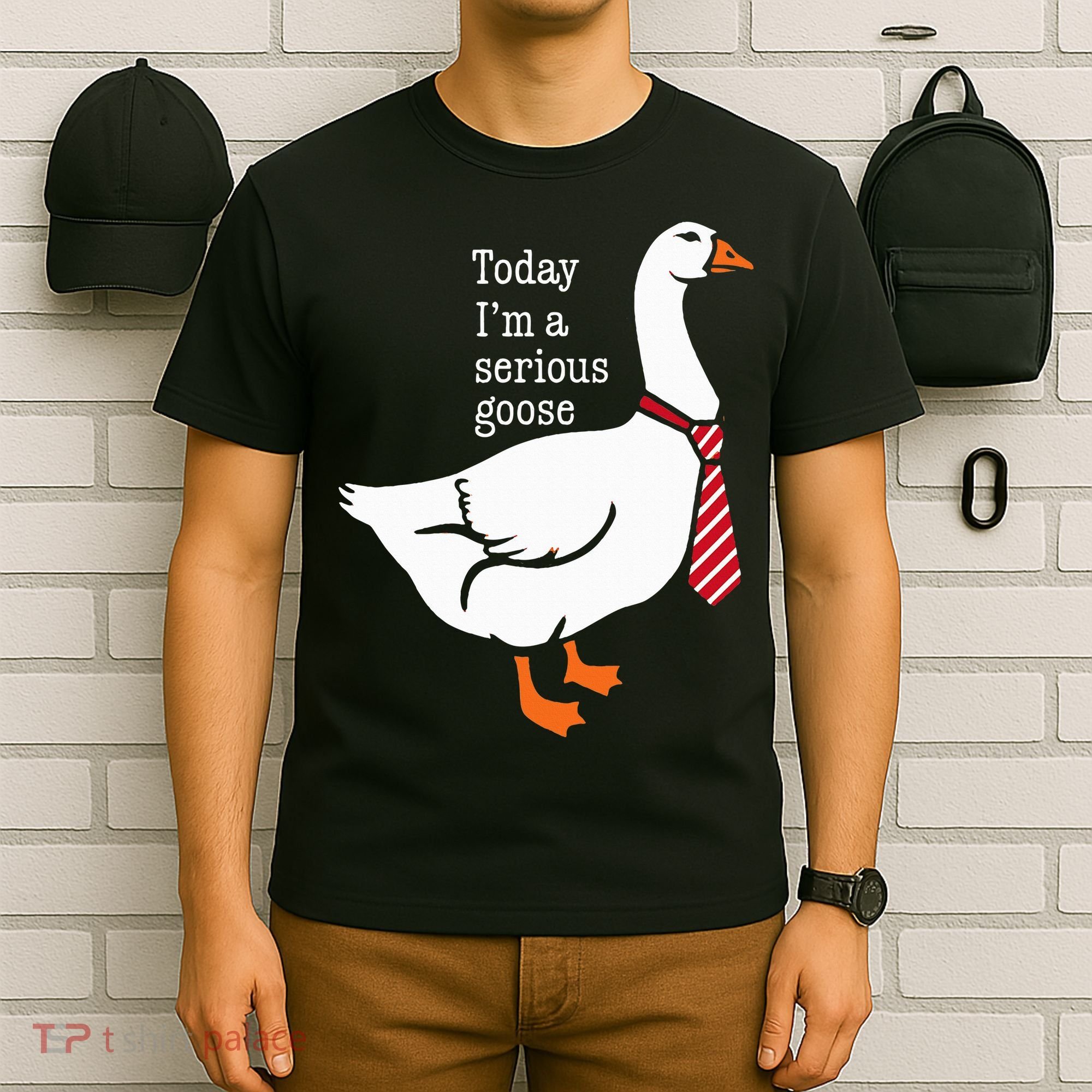 Today IM A Serious Goose Funny Cute Goose T-Shirt