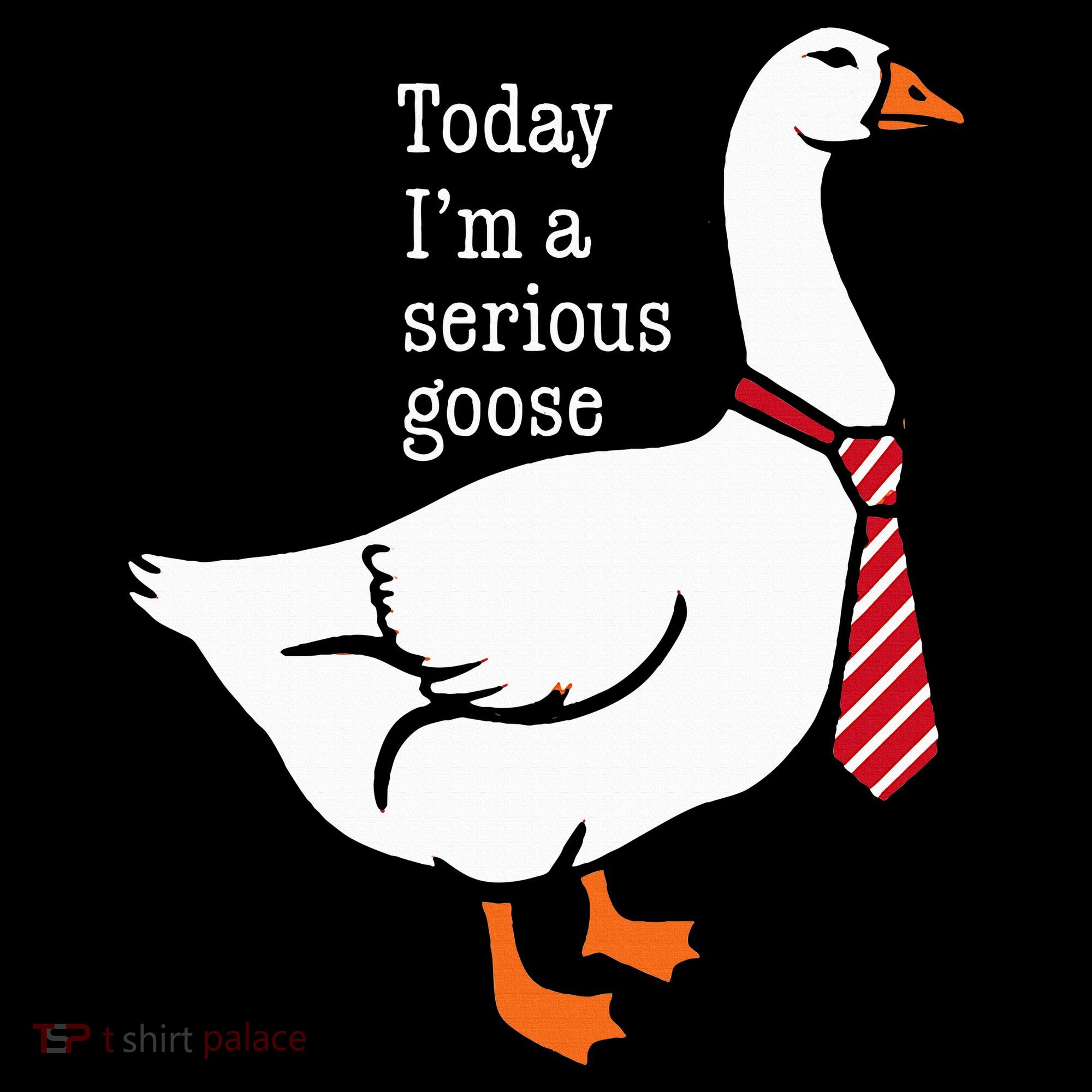 Today IM A Serious Goose Funny Cute Goose T-Shirt