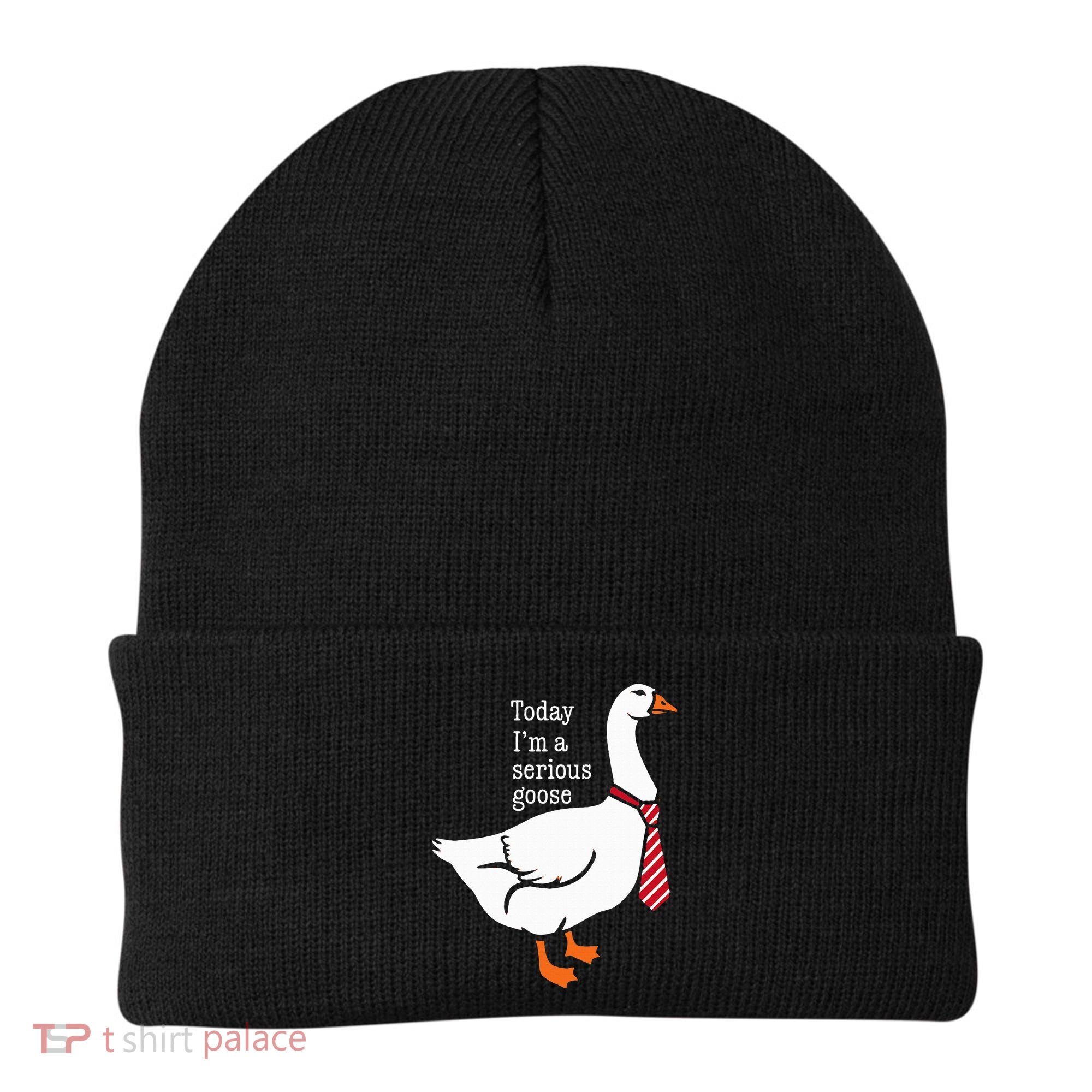 Today IM A Serious Goose Funny Cute Goose Beanie