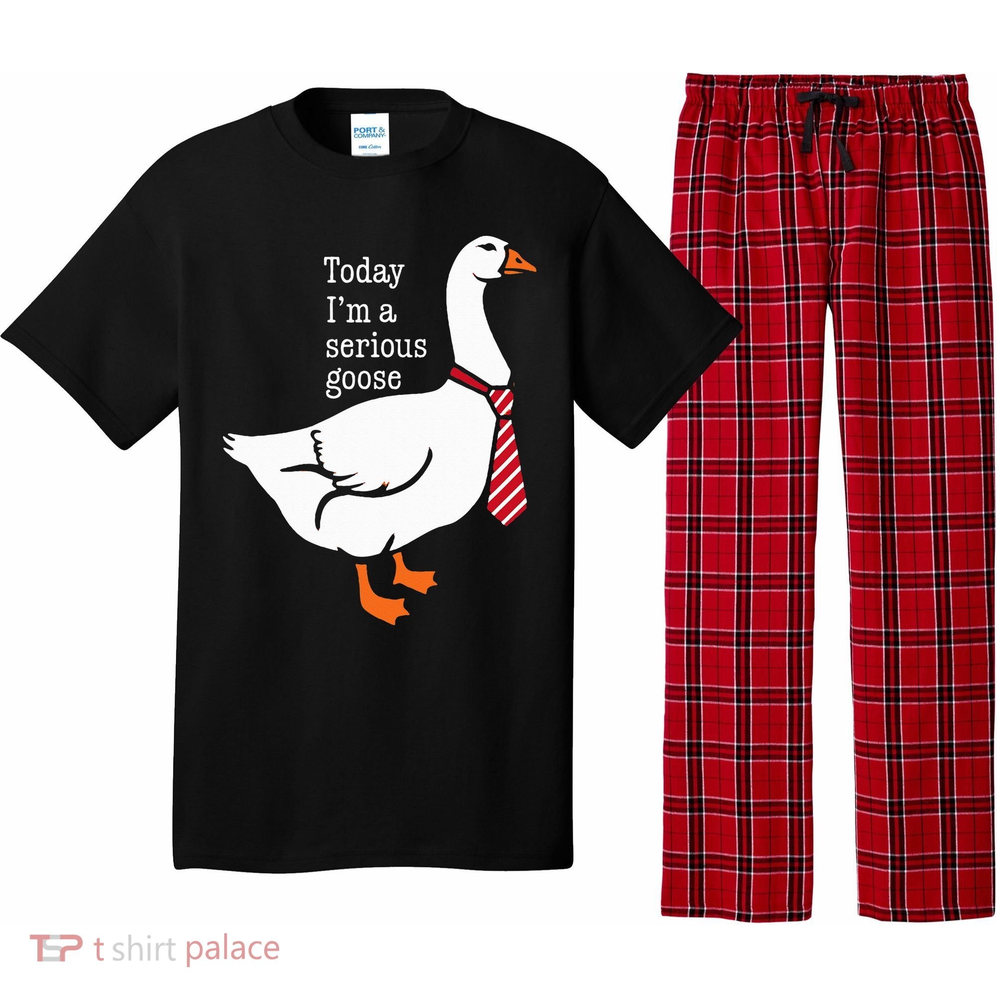 Today IM A Serious Goose Funny Cute Goose Pajama Set