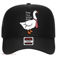 Today IM A Serious Goose Funny Cute Goose Hat thumb 0