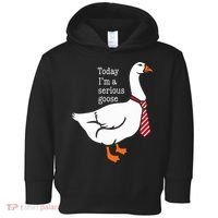 Today IM A Serious Goose Funny Cute Goose Toddler Hoodie thumb 0