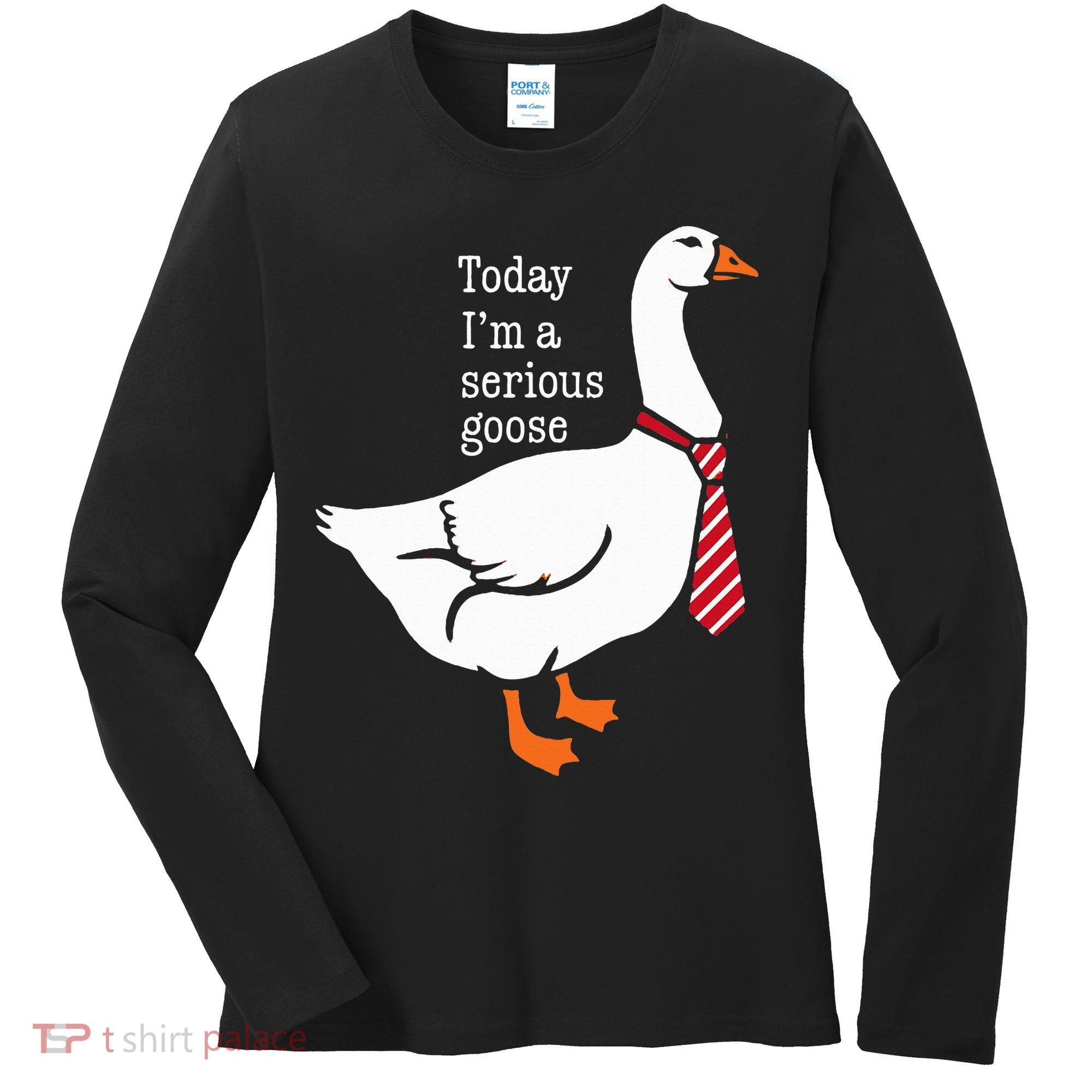 Today IM A Serious Goose Funny Cute Goose Women's Long Sleeve Shirt