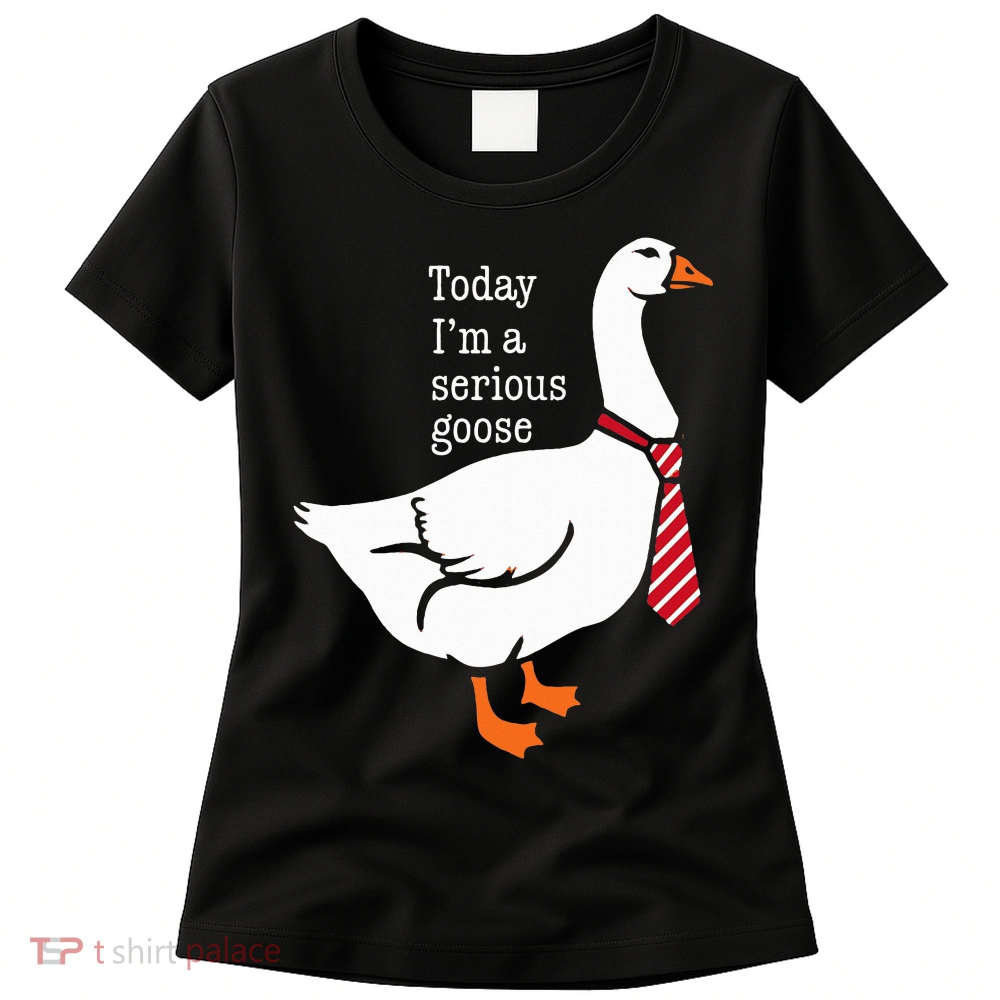 Today IM A Serious Goose Funny Cute Goose Women's T-Shirt