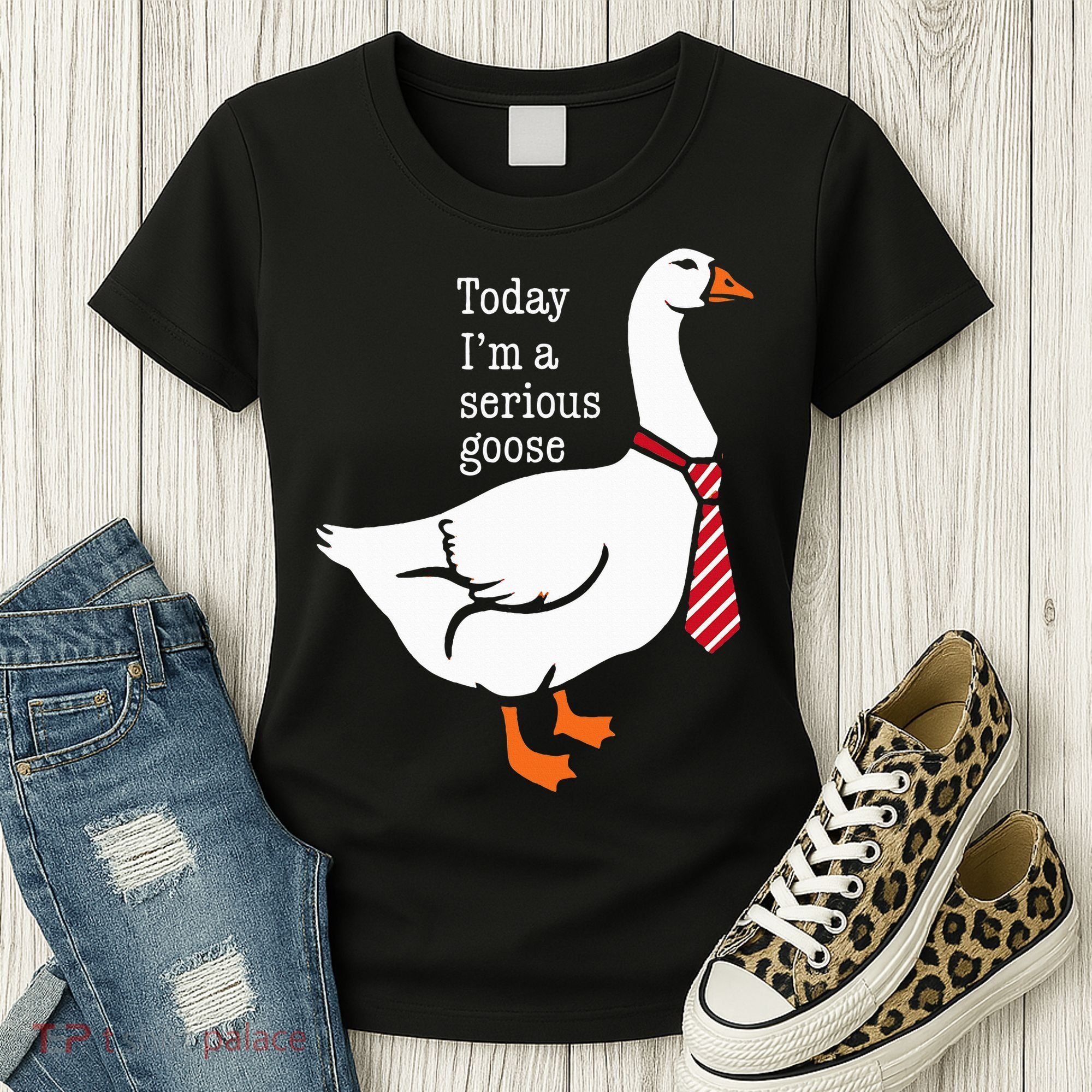 Today IM A Serious Goose Funny Cute Goose Women's T-Shirt