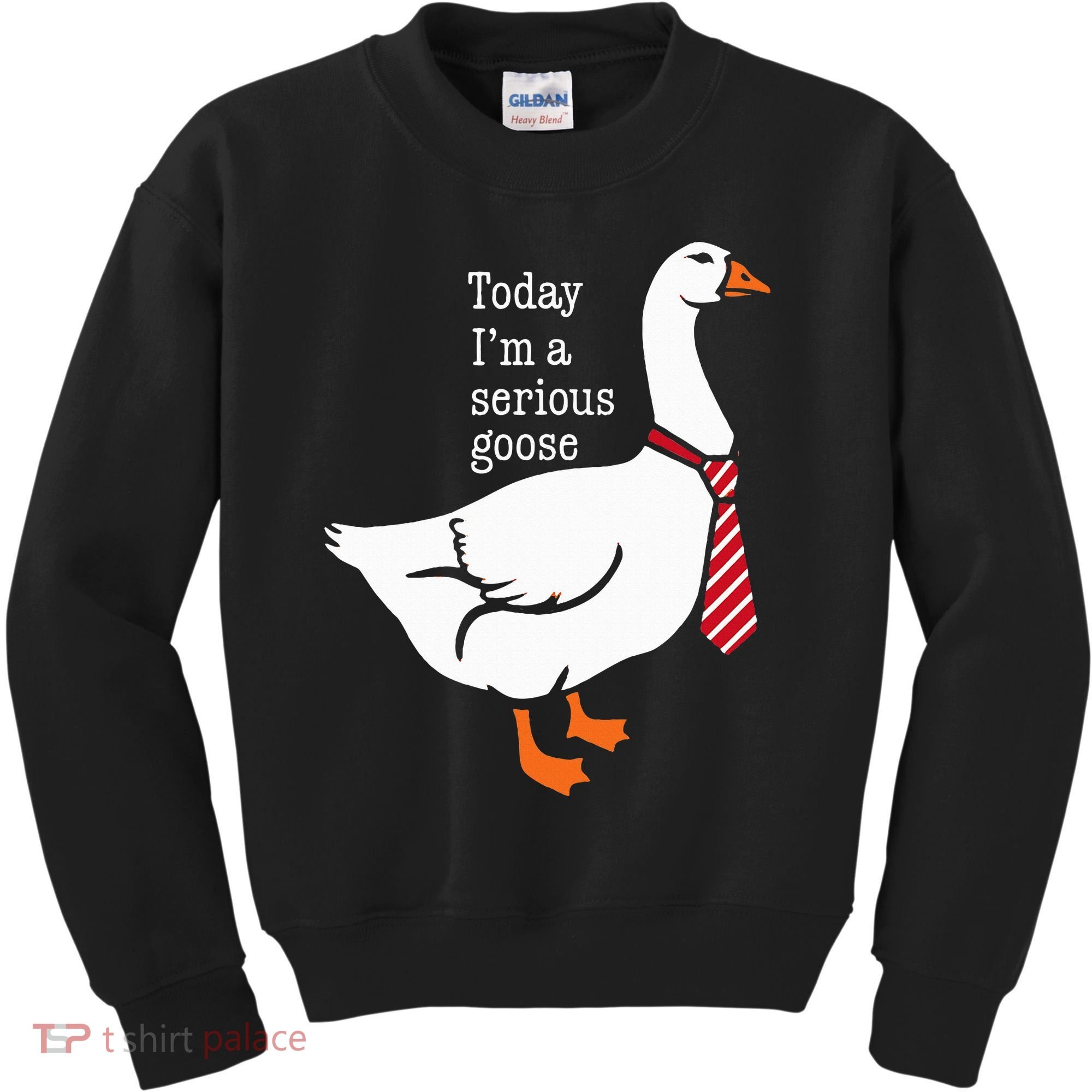 Today IM A Serious Goose Funny Cute Goose Kids Sweatshirt