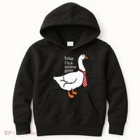 Today IM A Serious Goose Funny Cute Goose Kids Hoodie thumb 0