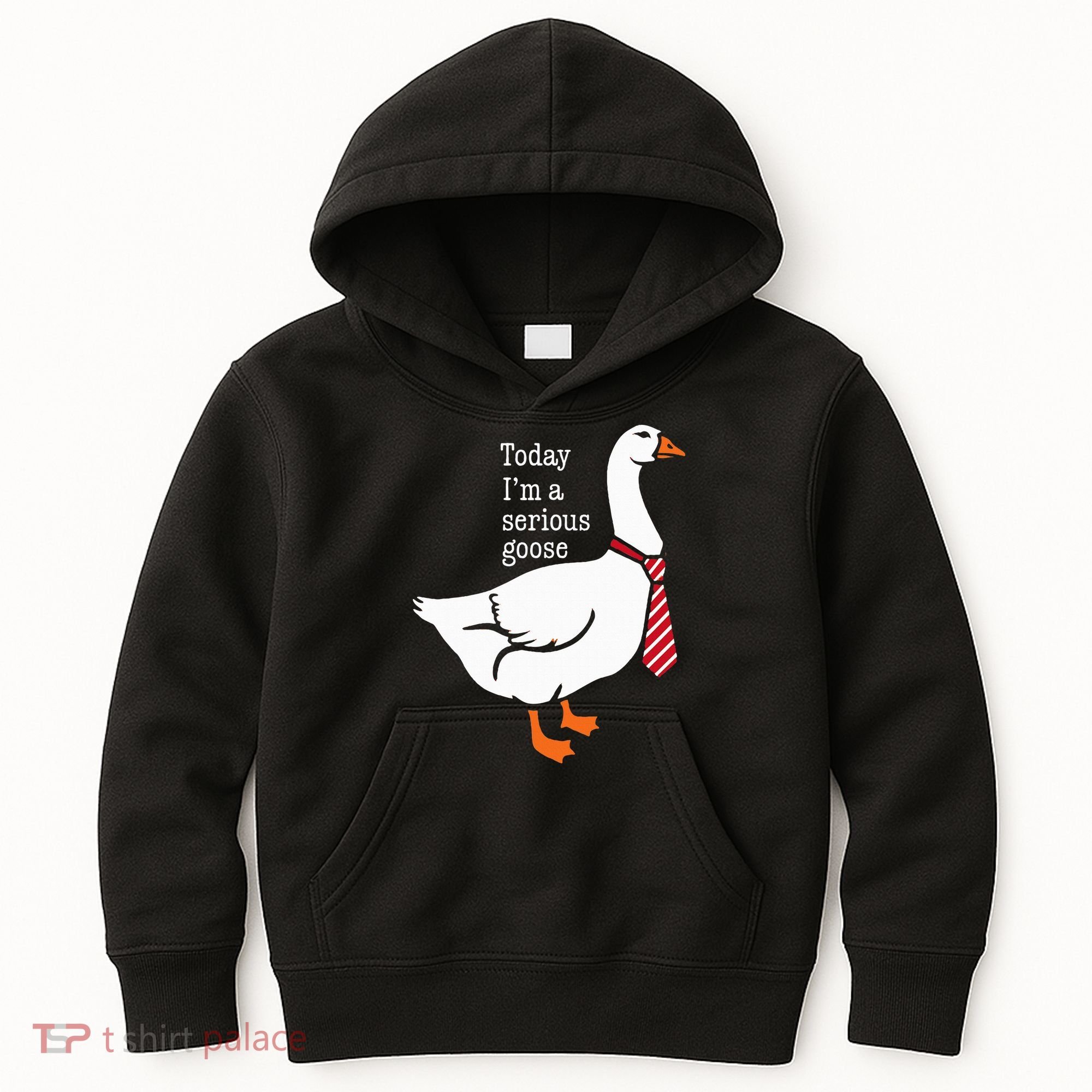 Today IM A Serious Goose Funny Cute Goose Kids Hoodie