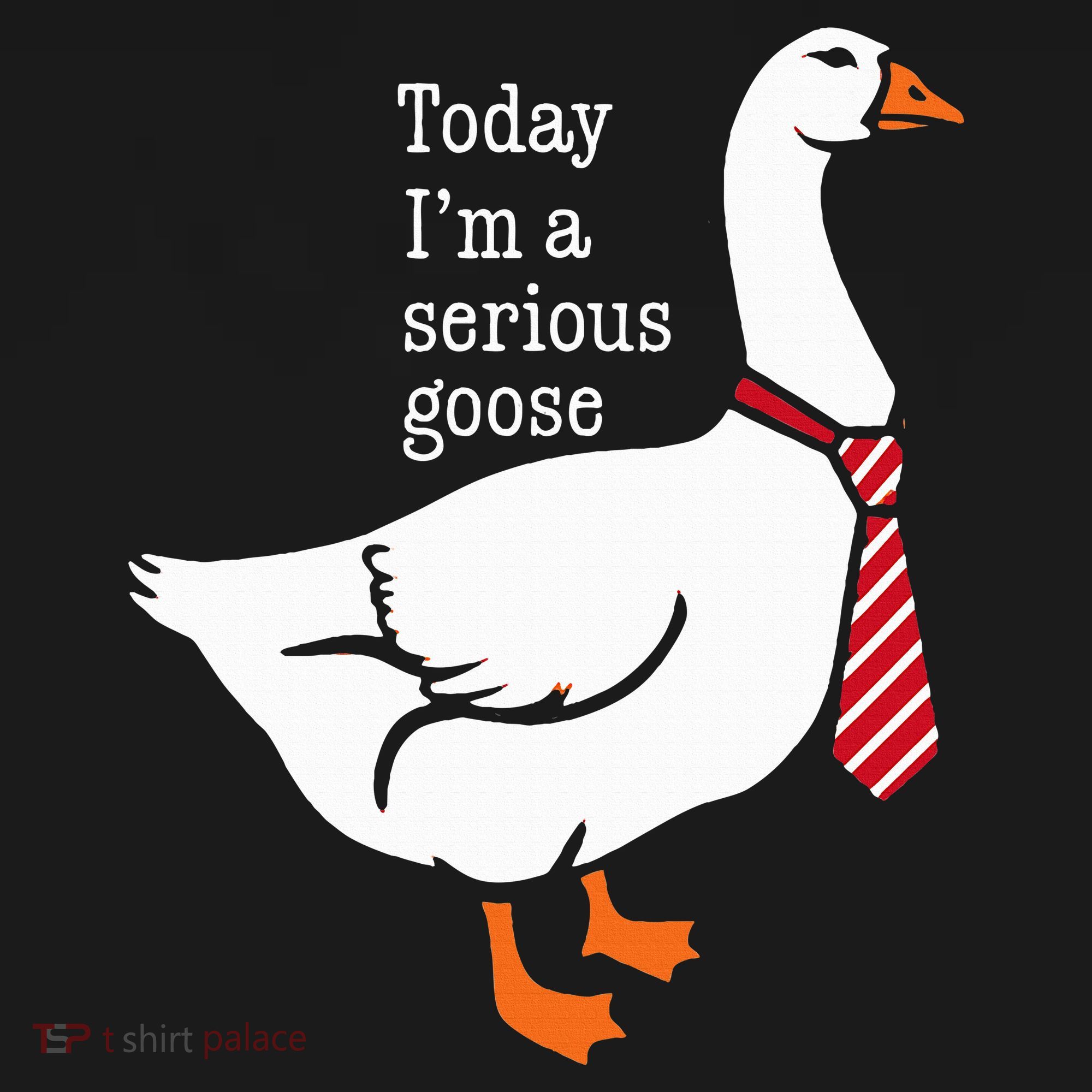 Today IM A Serious Goose Funny Cute Goose Kids T-Shirt