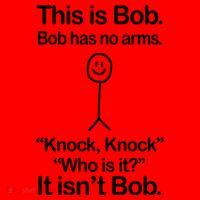 This Is Bob Bob Has No Arms Sarcastic Funny Santa Hat thumb 1