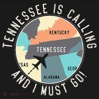 Tennessee Is Calling And I Must Go Tennessee State Women's Hoodie thumb 2