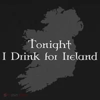 Tonight I Drink For Ireland Toddler Hoodie thumb 2