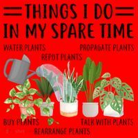 Things I Do In My Spare Time Water Plants Santa Hat thumb 1